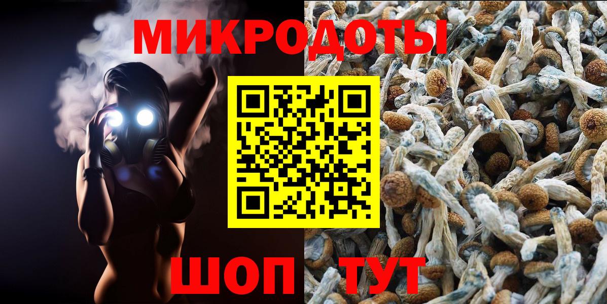 Галлюциногенные грибы Cubensis Апрелевка