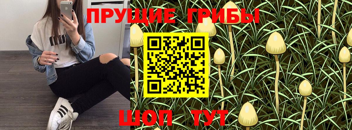 ГАШ Апрелевка