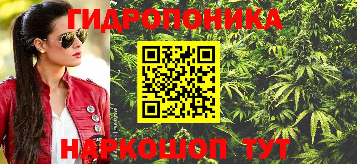 Шишки марихуана сатива  Бошки Шишки OG Kush  Шишки марихуана планчик  Вход с VPN  Конопля индика  Апрелевка 